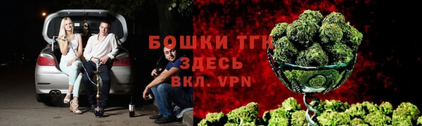 крисы Армянск