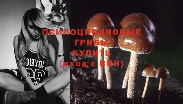 mix Пестово